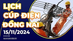 Lịch cúp điện Đồng Nai hôm nay ngày 15/11/2024