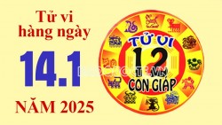 Tử vi hôm nay, xem tử vi 12 con giáp hôm nay ngày 14/1/2025: Tuổi Dậu đầu tư thông minh