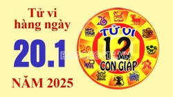 Tử vi hôm nay, xem tử vi 12 con giáp hôm nay ngày 20/1/2025: Tuổi Mùi tài chính ổn định